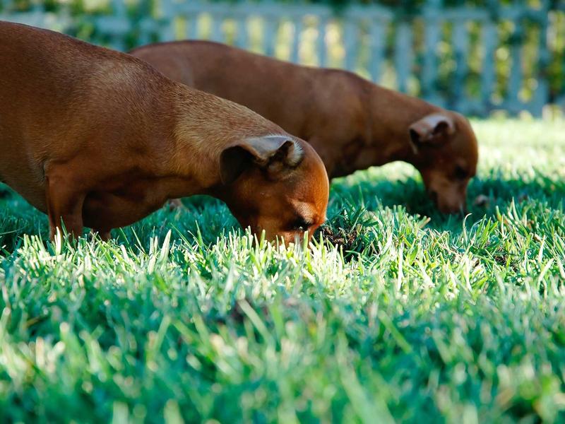 sudoku evening relaxation screenshot 5